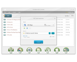Также Freemake Audio Converter может конвертировать музыку