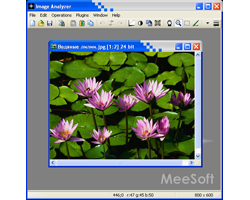 С помощью Image Analyzer 