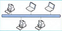 Топология «шина» сети Ethernet.