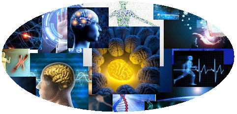 Что такое web 2.0 Что такое web 2.0